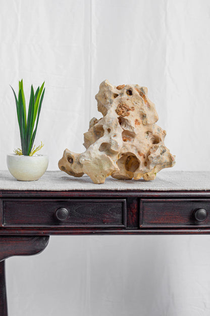 Natural Sea Rock Table Decor - Small - Style 01