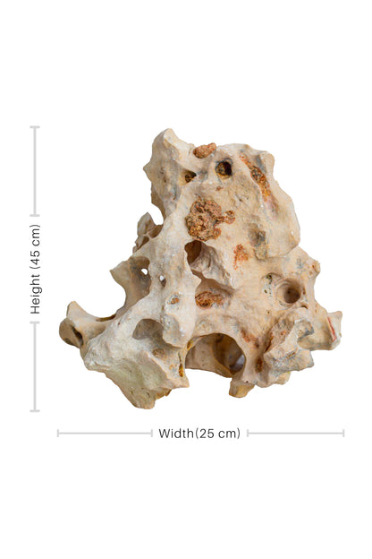 Natural Sea Rock Table Decor - Small - Style 01