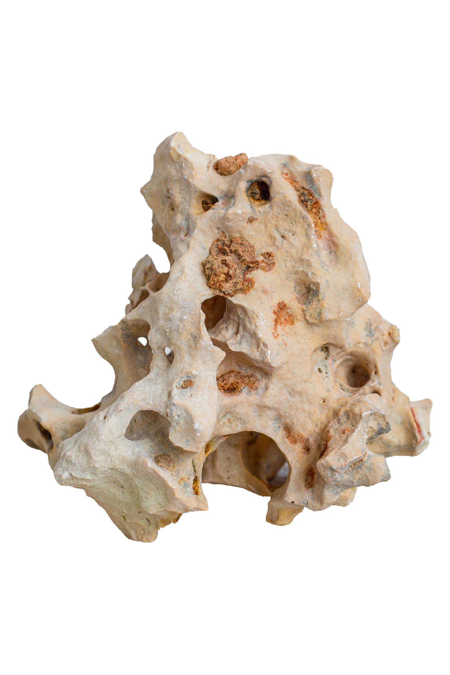 Natural Sea Rock Table Decor - Small - Style 01