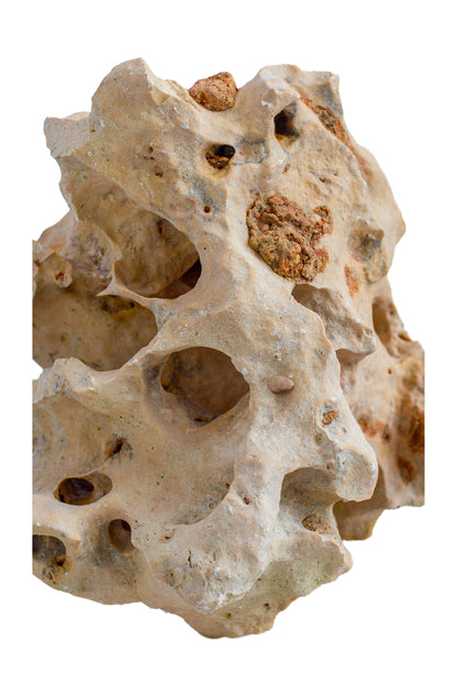 Natural Sea Rock Table Decor - Small - Style 01