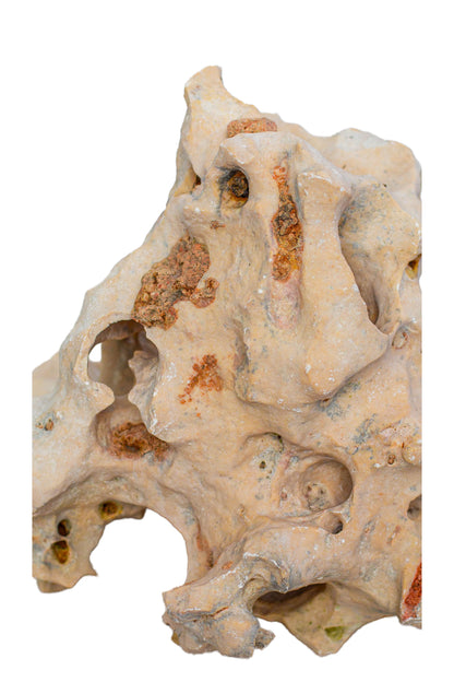 Natural Sea Rock Table Decor - Small - Style 01