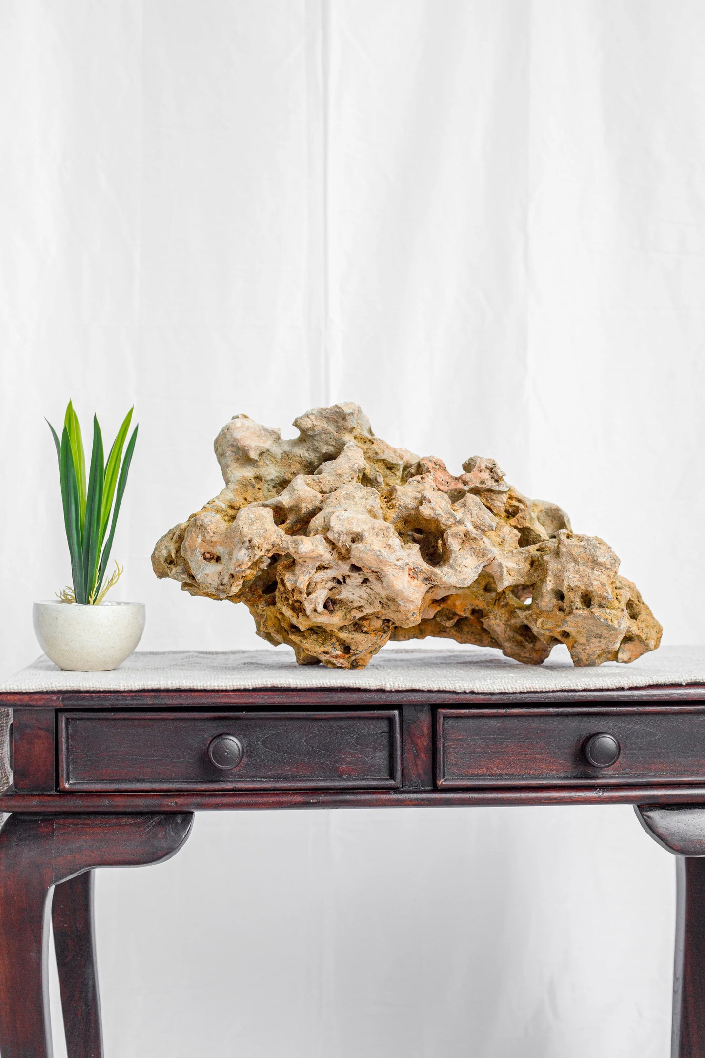 Natural Sea Rock Table Decor - Small - Style 02