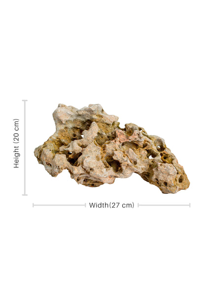 Natural Sea Rock Table Decor - Small - Style 02
