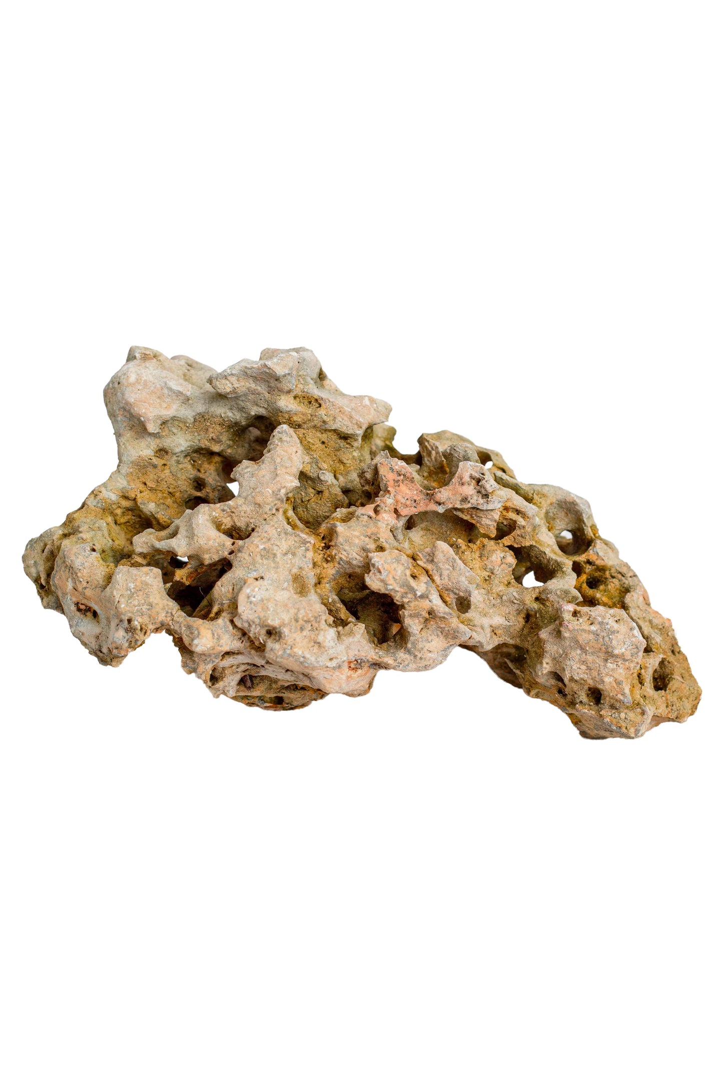 Natural Sea Rock Table Decor - Small - Style 02