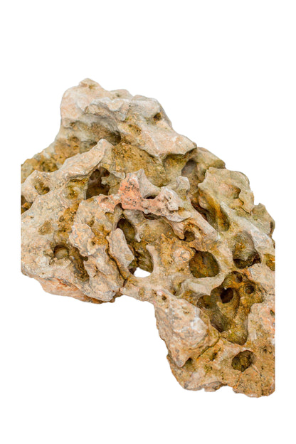 Natural Sea Rock Table Decor - Small - Style 02