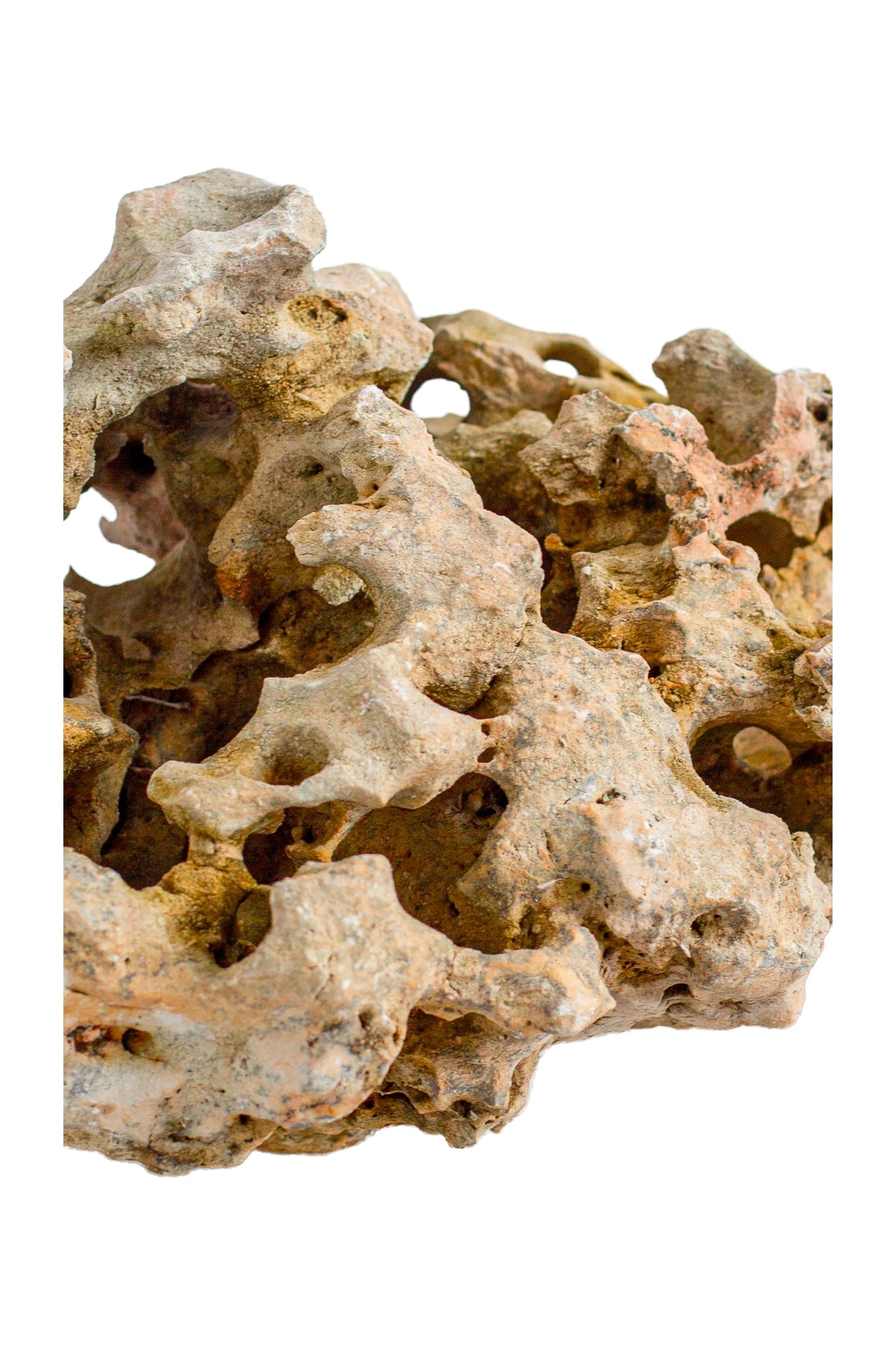 Natural Sea Rock Table Decor - Small - Style 02