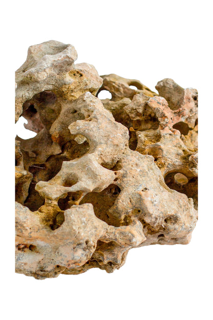 Natural Sea Rock Table Decor - Small - Style 02