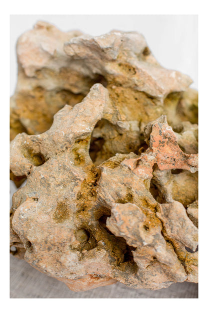 Natural Sea Rock Table Decor - Small - Style 02