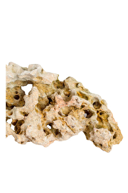 Natural Sea Rock Table Decor - Small - Style 02