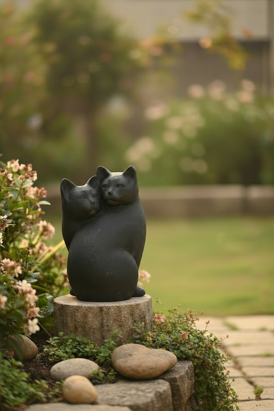 Hugging Cats in Love