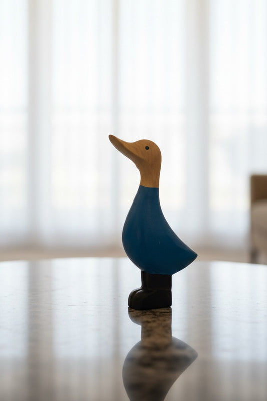 Whimsy Ducky - Blue