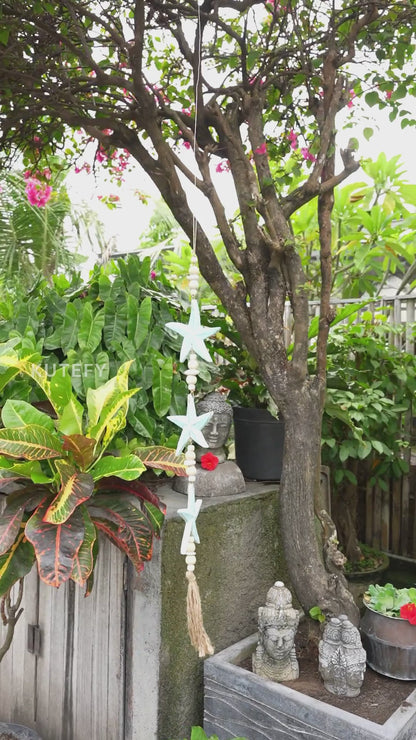 Aquatic Charm Star Fish