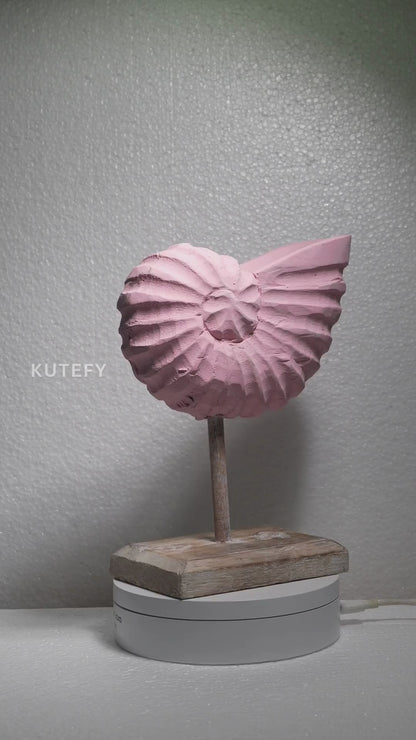 Rustic Shell Reflections Baby Pink