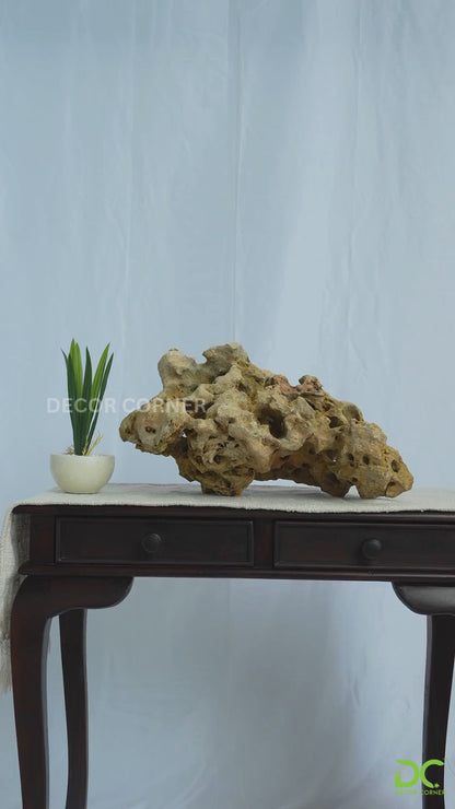 Natural Sea Rock Table Decor - Small - Style 02