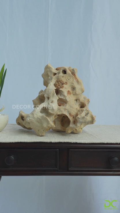 Natural Sea Rock Table Decor - Small - Style 01