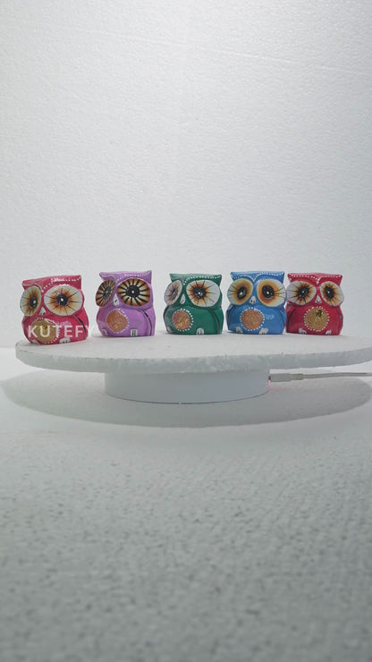 Bright eyed Little Owlets Décor