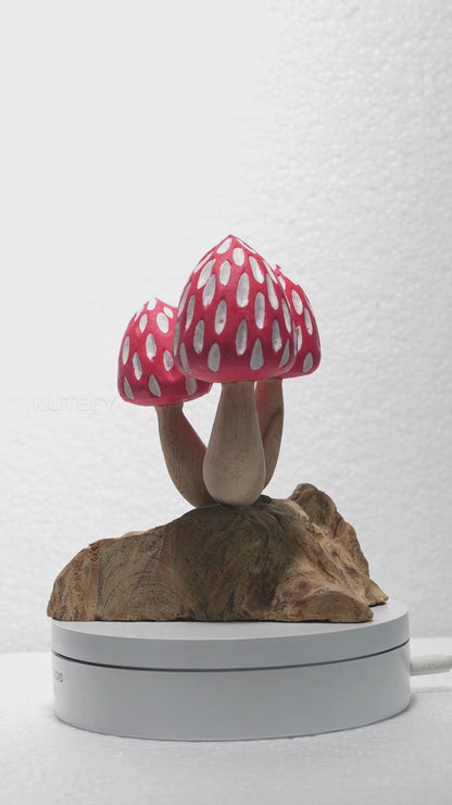 Tropical Magic Mushrooms