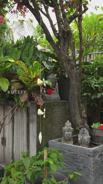 Humming birds in flight Yellow