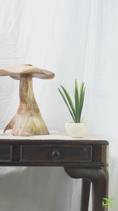 Magic Mushrooms - Set