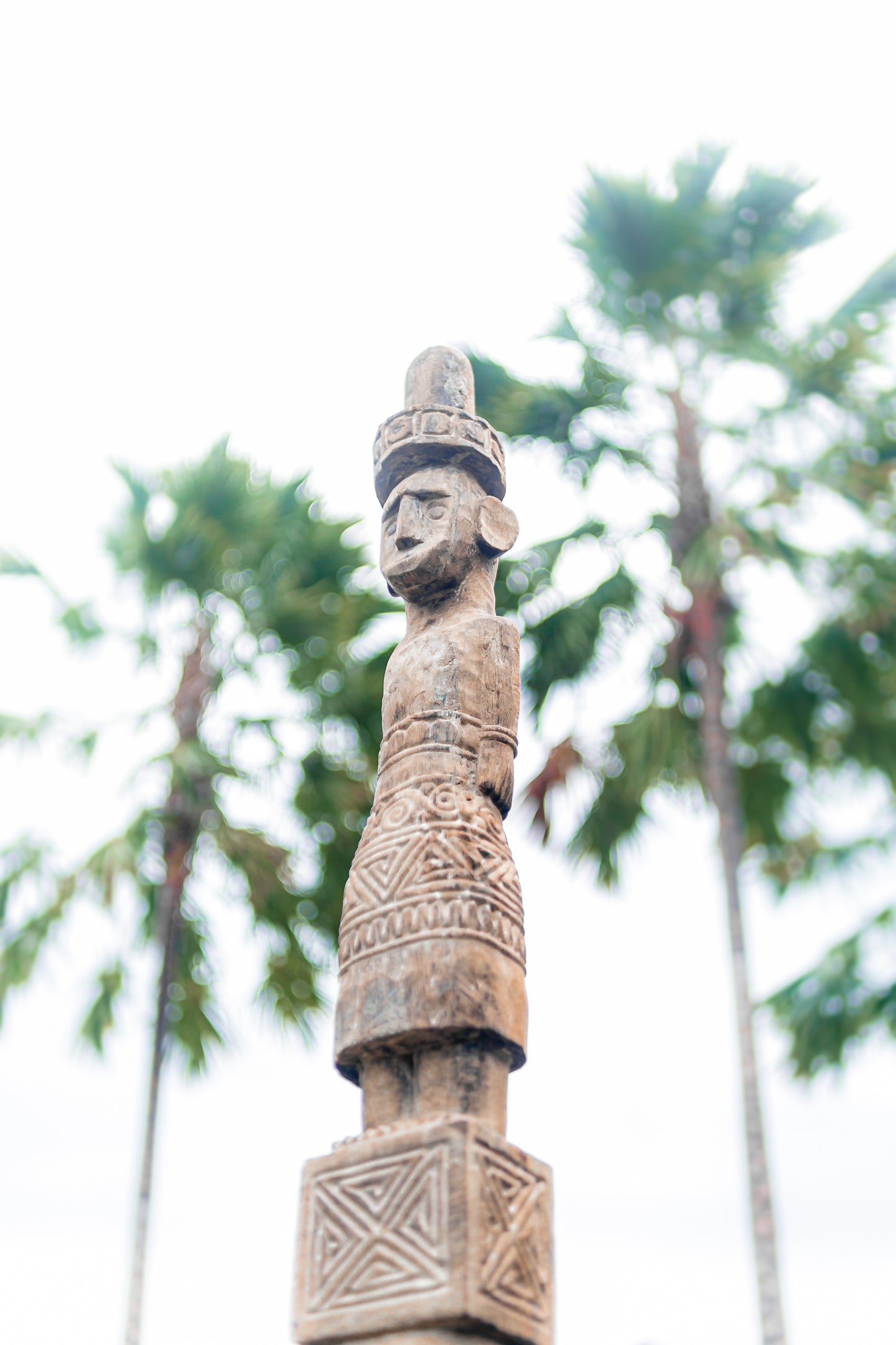 Royal Tribal Warrior Emblem -  wooden Totem from Indonesia 